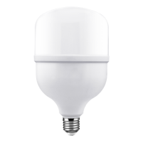 Classic Series LED T Bulb  Classic Series LED T Bulb